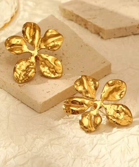 80026 - Zarcillos acero