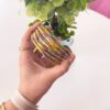 40201 - Set 5 pulseras marron