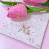 20387 - collar armado luna rosa con cristales