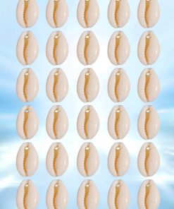 50068 - Paquete conchas x30
