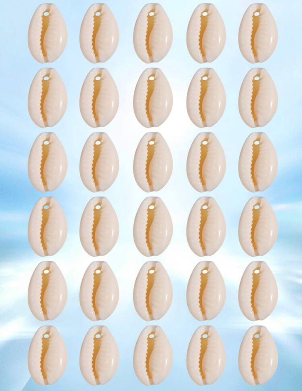 50068 - Paquete conchas x30